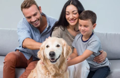 beneficios de tener mascotas