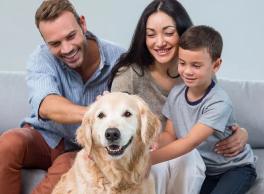 beneficios de tener mascotas